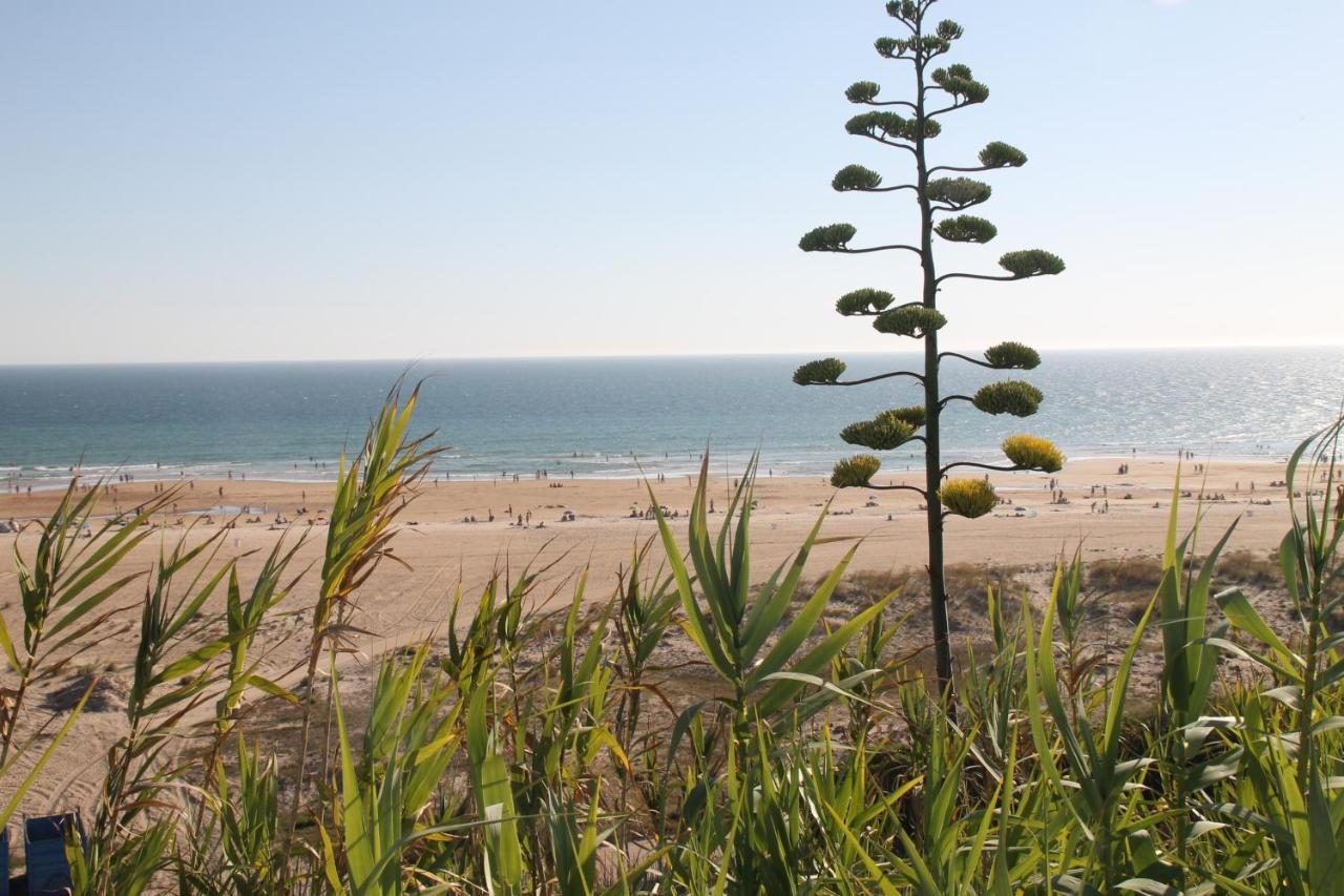Apartamento Velarde Conil De La Frontera Exteriér fotografie